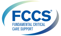 Fundamental Critical Care Support