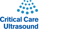 Ultrasound-Guided Procedures for the Critically Ill