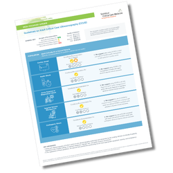 Guidelines on Adult Critical Care Ultrasonography: Focused Update 2024