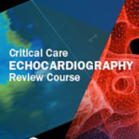 Critical Care Echocardiography Review Course | SCCM