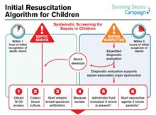 Initial Resuscitation Algorithm for Children